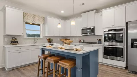 Kitchen - 1625 Bernard Ct, Hampton, GA 30228 photo 6 of 7
