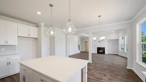 Other - 1625 Bernard Ct, Hampton, GA 30228 photo 3 of 16