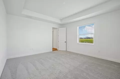 Bedroom - 9246 Deep Horizon Loop, Parrish, FL 34219 photo 10 of 11
