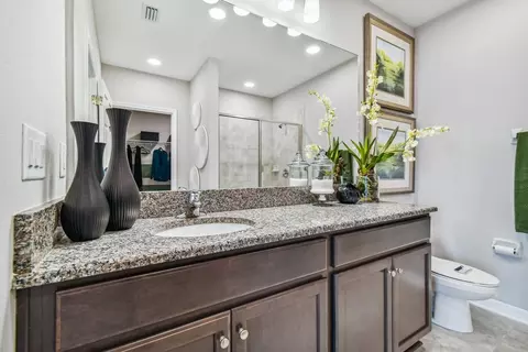 Bath - 4969 Eagle Rock Dr, Wimauma, FL 33598 photo 2 of 5