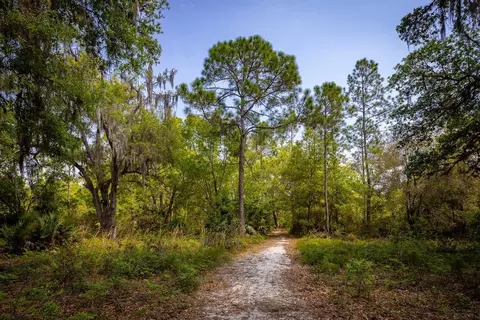 Voyager Way, Saint Cloud, FL 34771 photo 54