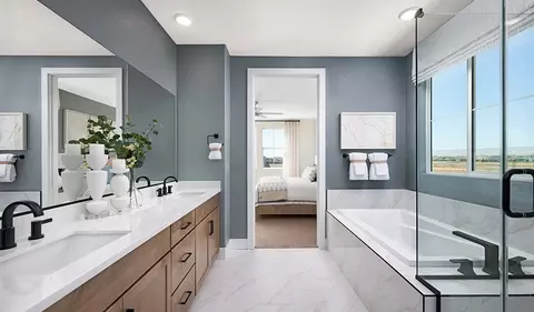 Bath - 438 E Moana Ave, Mountain House, CA 95391 photo 1 of 6