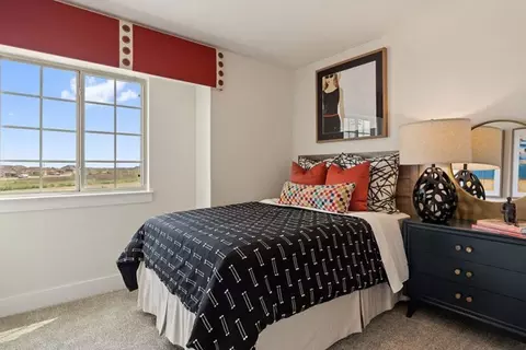 Bedroom - 809 White Steppe Way, Georgetown, TX 78626 photo 10 of 11