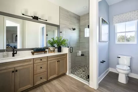 Bath - 10740 Spring Sapling Cir, Parrish, FL 34219 photo 3 of 3