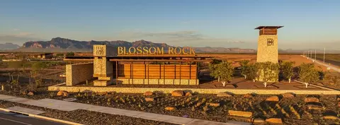 View/Area - 2278 W Rutledge Ave, Apache Junction, AZ 85120 photo 1 of 18