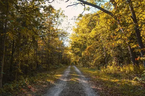 Other - 710 5 Mile Rd, Wind Point, WI 53402 photo 9 of 12