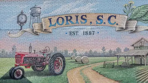 Other - 934 Farmers Passage Loop, Loris, SC 29569 photo 5 of 10