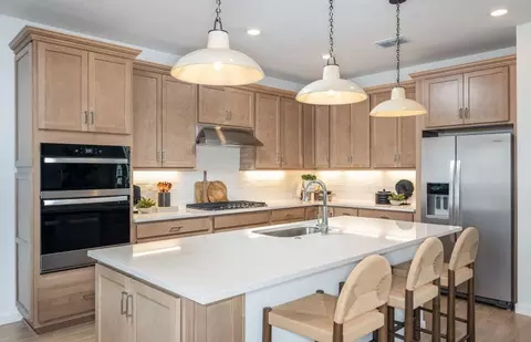 Kitchen - 10053 Trellis Vine Way, Parrish, FL 34219 photo 1 of 2