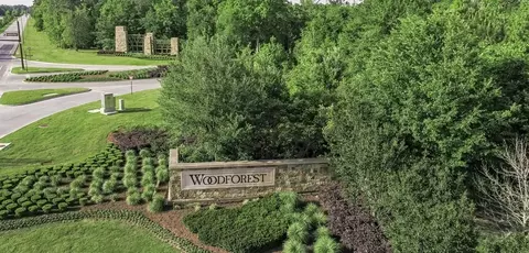 View/Area - 408 E Coralburst Loop, Montgomery, TX 77316 photo 1 of 4