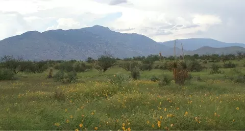 Other - Undisclosed, Benson, AZ 85602 photo 1 of 3