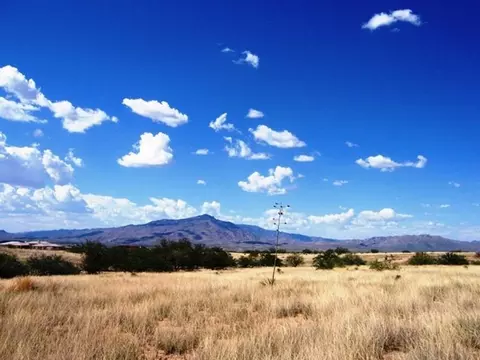 Other - Undisclosed, Benson, AZ 85602 photo 2 of 3