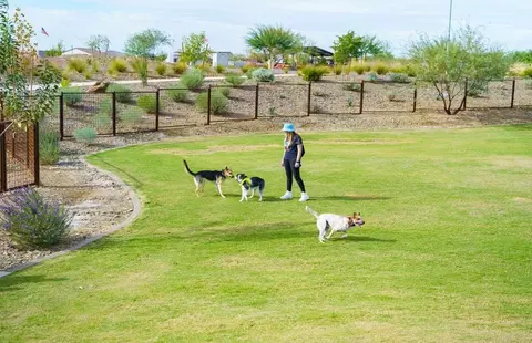 View/Area - 9960 S Gold Stone Trl, Apache Junction, AZ 85120 photo 20 of 41