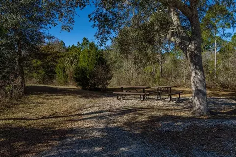 Exterior - 2158 Town Pasture Dr, Eustis, FL 32726 photo 12 of 12