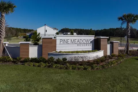 View/Area - 2158 Town Pasture Dr, Eustis, FL 32726 photo 1 of 24