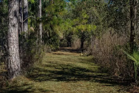 Other - 2158 Town Pasture Dr, Eustis, FL 32726 photo 8 of 9