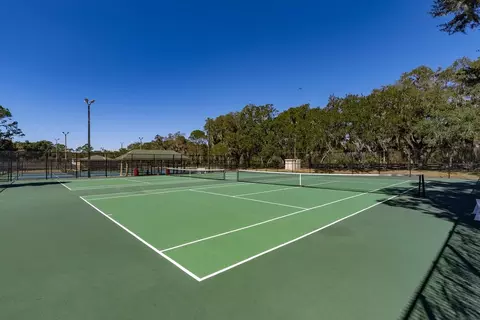 Other - 2158 Town Pasture Dr, Eustis, FL 32726 photo 9 of 9