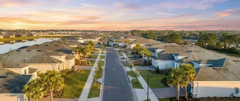 View/Area - 1009 Tassleflower Trl, Saint Cloud, FL 34771 photo 2 of 21