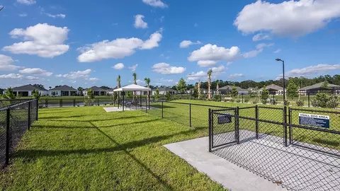 View/Area - 1009 Tassleflower Trl, Saint Cloud, FL 34771 photo 12 of 21