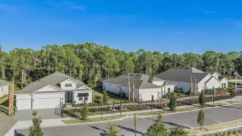 View/Area - 1009 Tassleflower Trl, Saint Cloud, FL 34771 photo 8 of 21