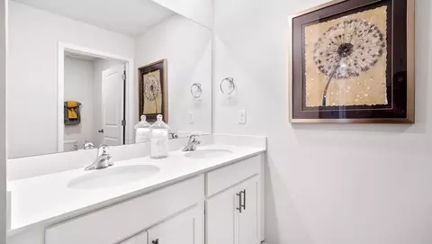 Bath - 101 Sunriff Ct, Greer, SC 29651 photo 2 of 7