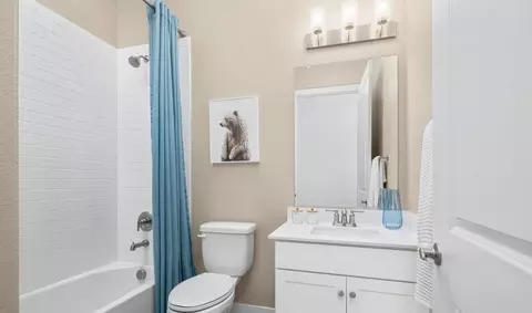 Bath - 249 Weathervane Dr, Lathrop, CA 95330 photo 3 of 3