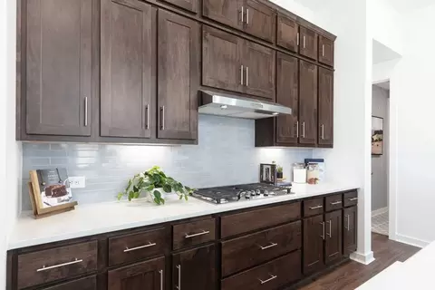 Kitchen - 325 Vale Run, Kyle, TX 78640 photo 9 of 11