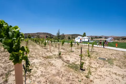 29902 Vintage Ct, Castaic, CA 91384 photo 53