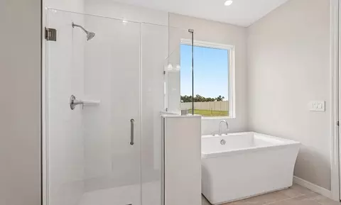 Bath - 10155 Hidden Hammock Loop, Parrish, FL 34219 photo 3 of 4