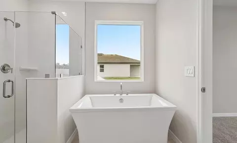 Bath - 10155 Hidden Hammock Loop, Parrish, FL 34219 photo 2 of 4