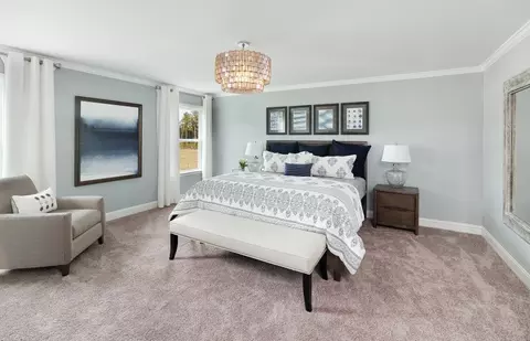 Bedroom - 9309 Long Meadow Way, Longs, SC 29568 photo 5 of 6