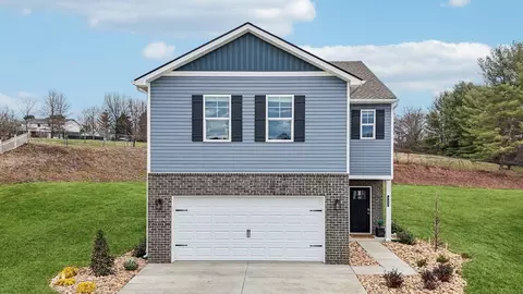313 Alta Tree Blvd, Johnson City, TN 37604