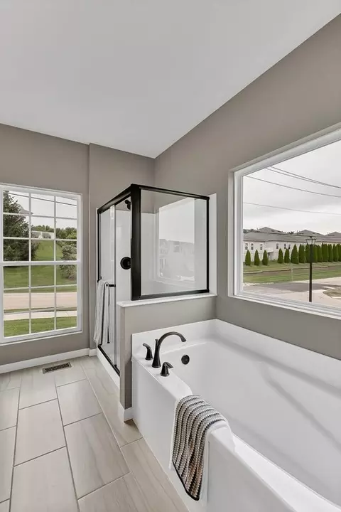Bath - 29519 Walnut Hollow Dr, Wright City, MO 63390 photo 1 of 5