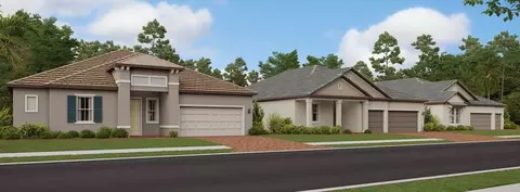 Other - 11940 Violet Jasper Dr, Parrish, FL 34219 photo 6 of 7