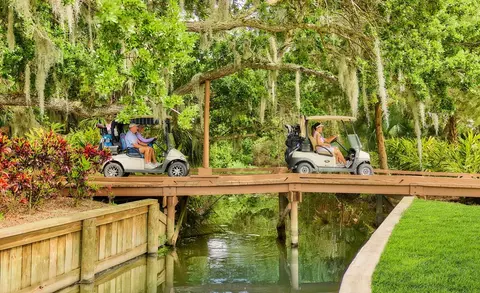 View/Area - 20 Deer Park Dr, Bunnell, FL 32110 photo 4 of 6