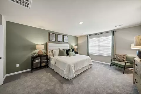 Bedroom - 774 Ben Gunn Run, Gilbert, SC 29054 photo 5 of 5