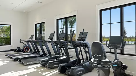 View/Area - 11577 Violet Jasper Dr, Parrish, FL 34219 photo 8 of 18