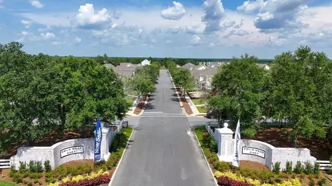View/Area - 20 Elderberry St, Freeport, FL 32439 photo 3 of 12