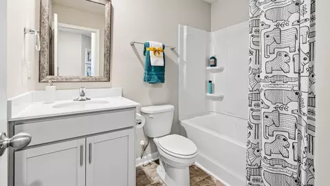 Bath - 817 Embark Cir, Greer, SC 29651 photo 6 of 9