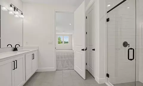 Bath - 30130 Emerald Forest Dr, Mount Dora, FL 32757 photo 2 of 4