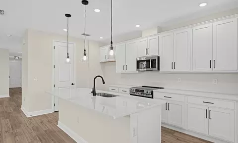 Kitchen - 30130 Emerald Forest Dr, Mount Dora, FL 32757 photo 2 of 8