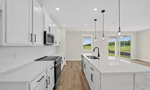 Kitchen - 30130 Emerald Forest Dr, Mount Dora, FL 32757 photo 3 of 8