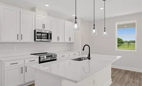 Kitchen - 30130 Emerald Forest Dr, Mount Dora, FL 32757 photo 1 of 8