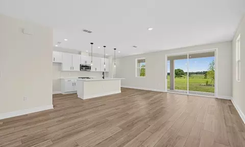 Living - 30130 Emerald Forest Dr, Mount Dora, FL 32757 photo 1 of 6