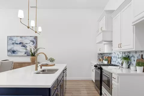 Kitchen - 12612 Audubon Trl, Rowlett, TX 75089 photo 7 of 8