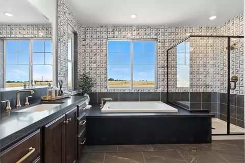 Bath - 4329 Tullamore Ave, Lathrop, CA 95330 photo 11 of 14