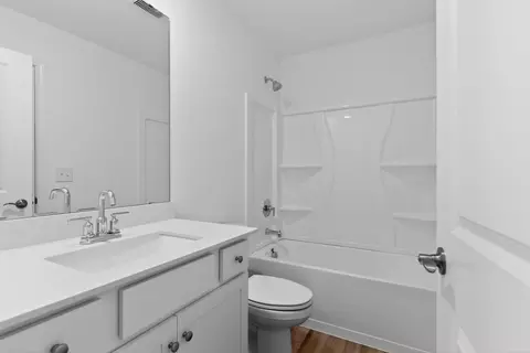 Bath - 234 Foxglade Dr, Gilbert, SC 29054 photo 4 of 6