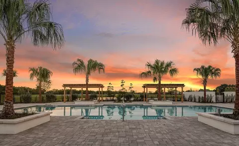 Exterior - 5387 Wolf Creek Dr, Apollo Beach, FL 33572 photo 13 of 15