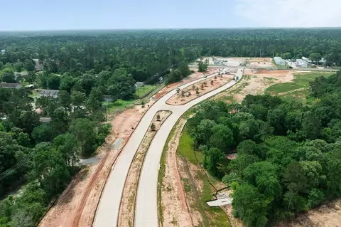 View/Area - 313 Box Elder Ct, Waller, TX 77484 photo 3 of 3