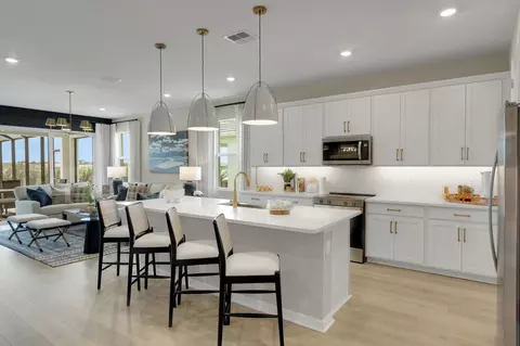 Kitchen - 17082 Squirrel Branch Ln, Alva, FL 33920 photo 4 of 4
