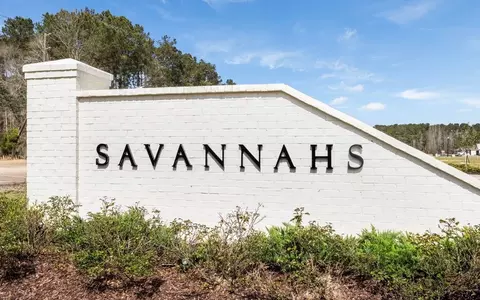 View/Area - 48182 Grassland St, Robert, LA 70455 photo 1 of 1